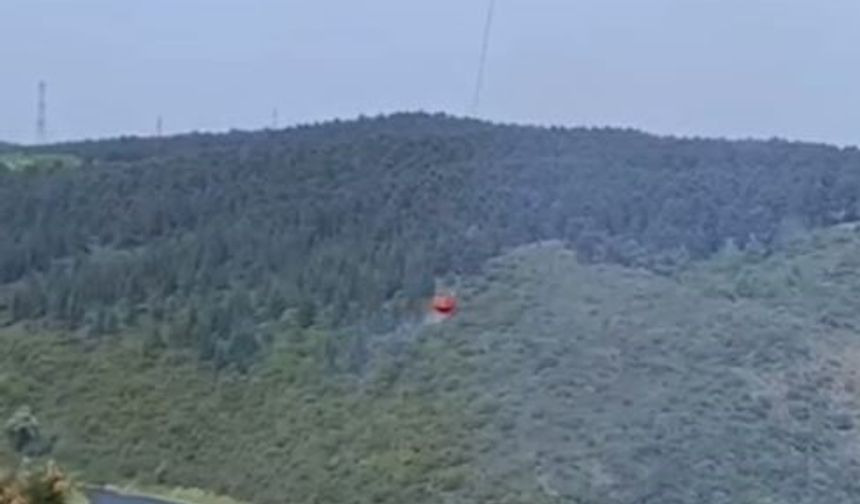 Sultangazi’de orman yangını