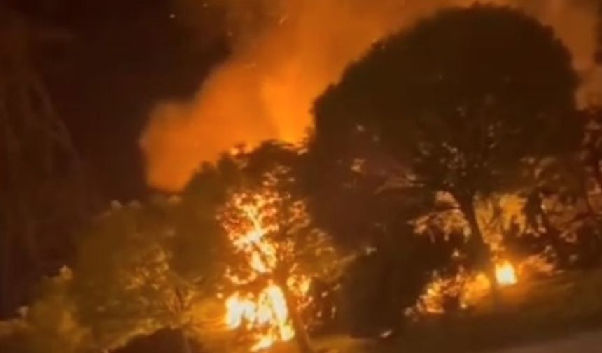 Sultangazi’de ormanlık alanda korkutan yangın