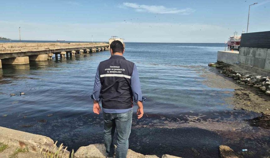 Tekirdağ’da denizin rengi değişti, ağır koku yayıldı