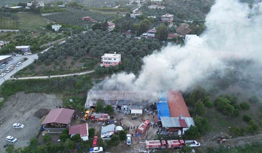 Tekstil fabrikası alevlere teslim oldu