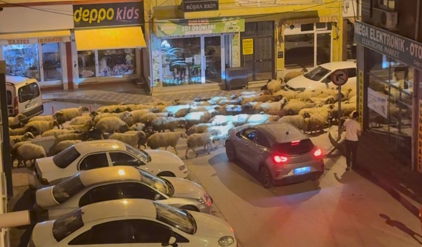 Tokat’ta gece başlayan yayla göçü dronla görüntülendi