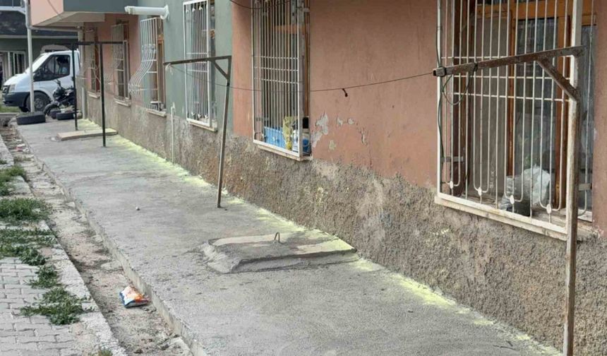 Tokat’ta iki kadının "fare kovma" yöntemi apartman sakinlerini hastanelik etti