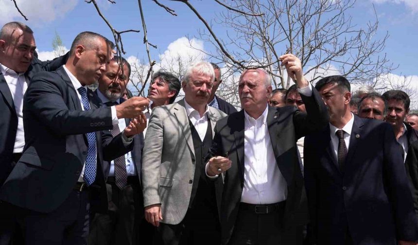 TZOB Başkanı Bayraktar, Kahramanmaraş’ta zirai dondan etkilenen bahçeleri inceledi