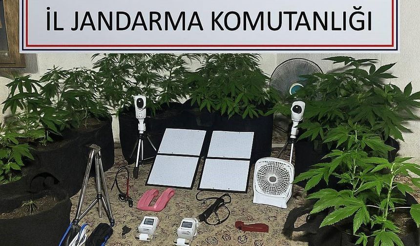 Uzaktan kontrolle metruk binada uyuşturucu yetiştirdi