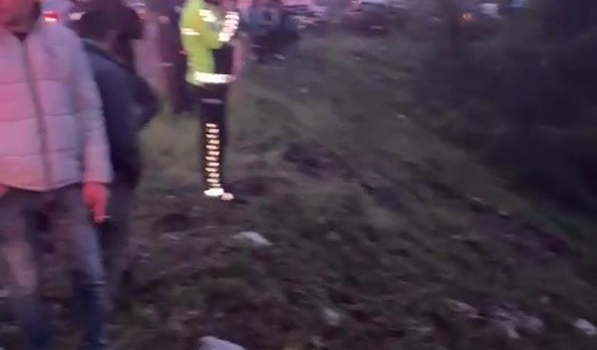 Zonguldak’ta otomobil dereye devrildi: 4 yaralı