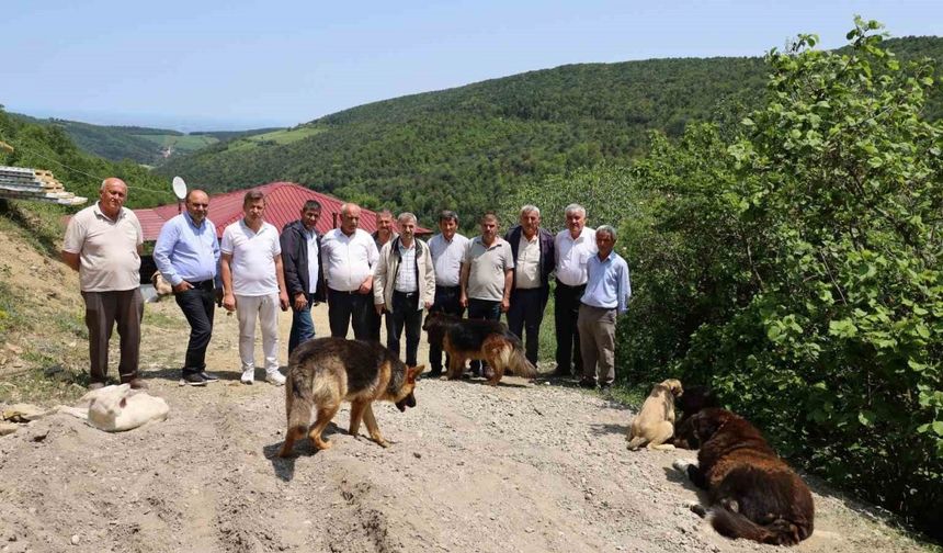 15 mahalle muhtarından izinsiz oluşturulan köpek barınağına sert tepki