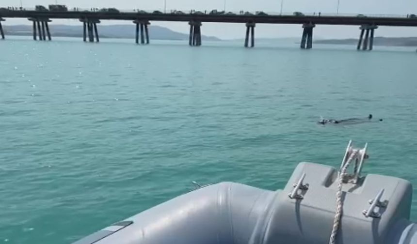 Adana’da baraj gölüne düşen kadını gemi adamlar kurtardı