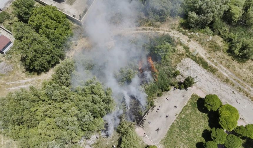 Adilcevaz’da Van Gölü sahilinde yangın paniği: Kafe yakınında sazlık alan yangını