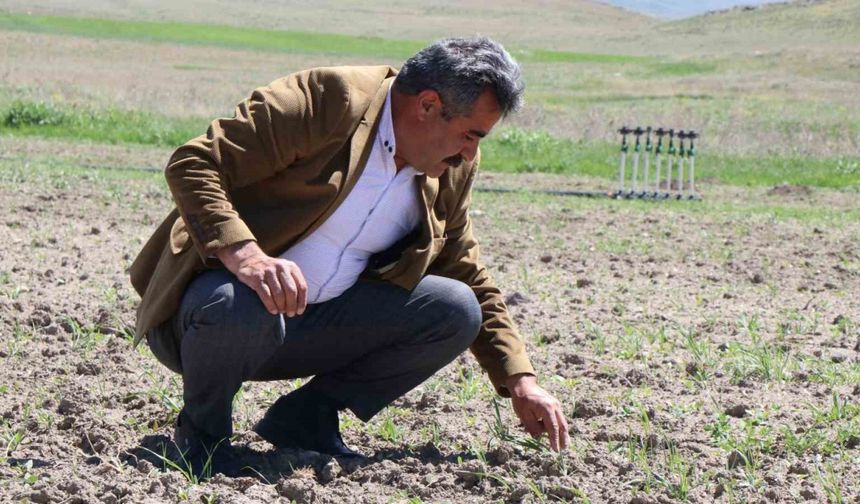 Ağrı Diyadin’de üretim seferberliği