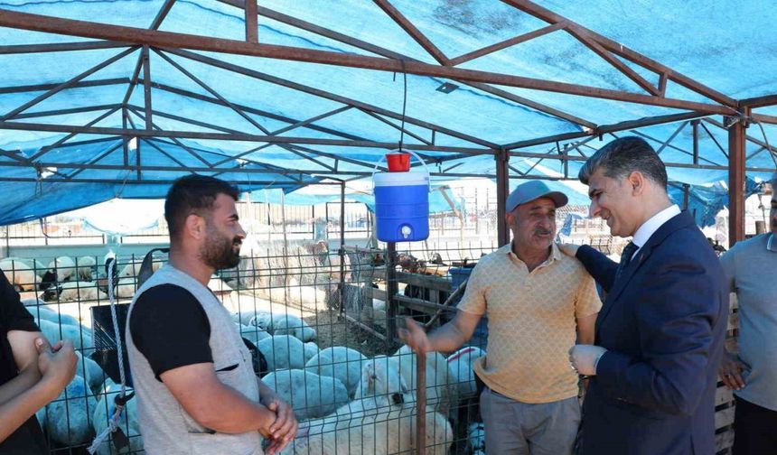 Akdeniz’de kurban satış yerleri hazır