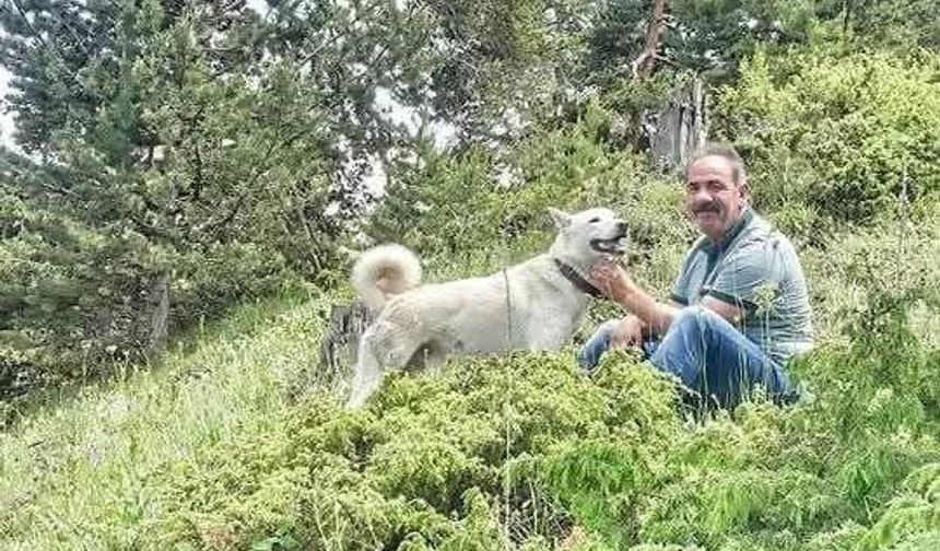 Alanya’da kamyon ile damper arasında sıkışan şoför hayatını kaybetti