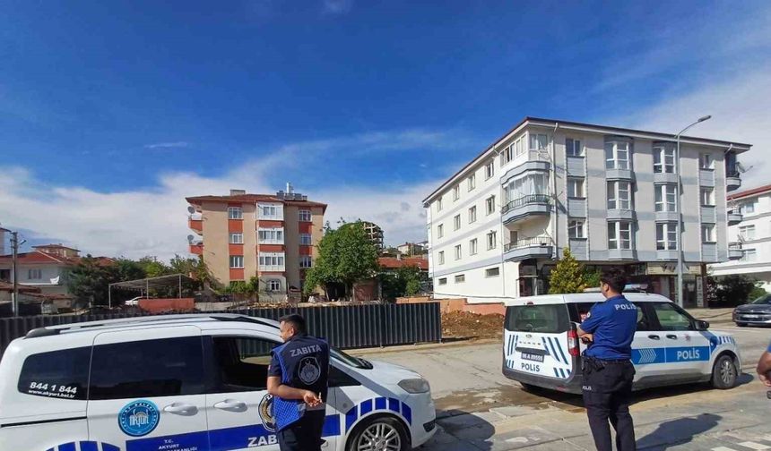 Ankara’da kaçan dana yaşlı kadını yaraladı
