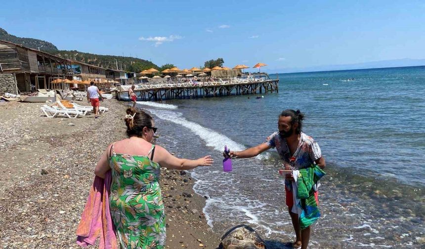 Assos sahilinde ölü caretta caretta bulundu