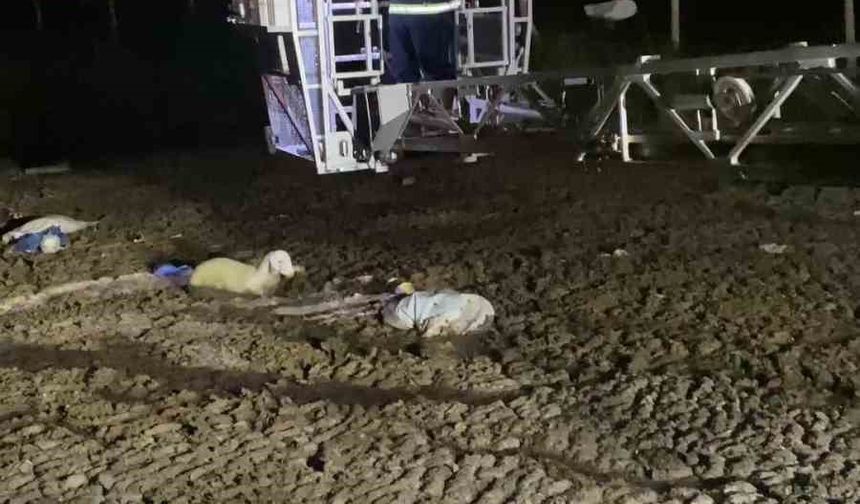 Atık dökülen alanda mahsur kalan koyunu itfaiyeciler kurtardı