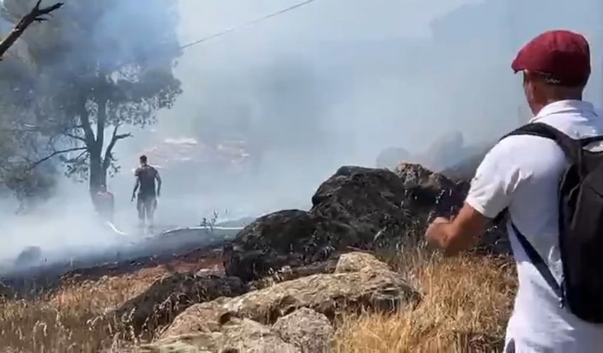 Ayvalık’ta orman yangını