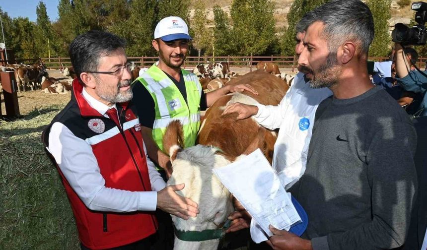 Bakan Yumaklı, Kurban Bayramı’nda 830 bin büyükbaş ve 2,5 milyon küçükbaş hayvan kesildiğini açıkladı