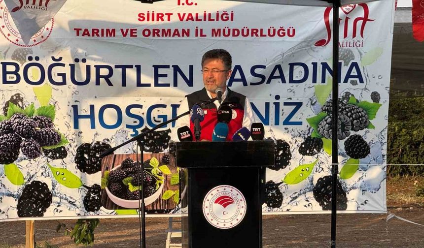 Bakan Yumaklı, Siirt’te böğürtlen hasadına katıldı
