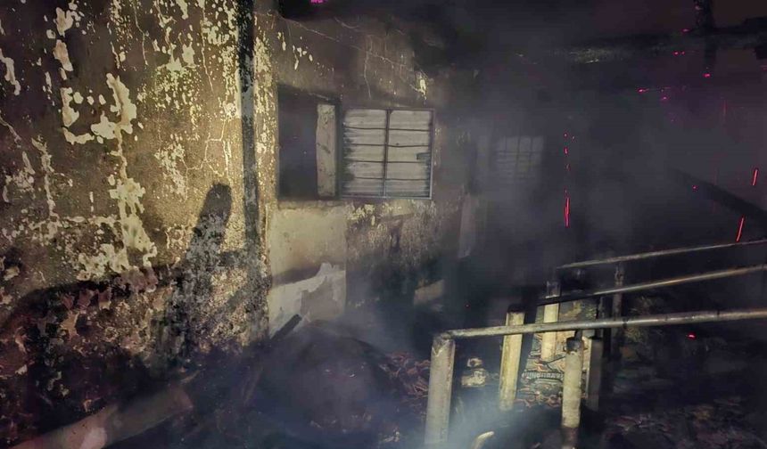 Bayram öncesi felaket: Ahırda çıkan yangın, satışı yapılan 16 büyükbaşı telef etti
