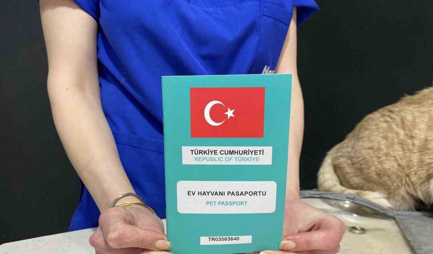 Bayramda evcil hayvan ile seyahat edecek yolcuların dikkat etmesi gerekenler