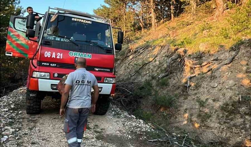 Beypazarı’nda orman yangını