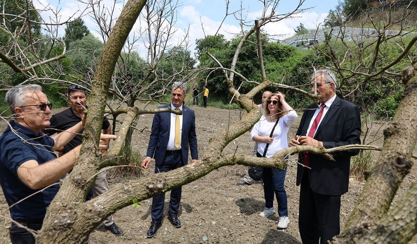 Bilecik’te meyve bahçelerinde don zararına karşı eğitim düzenlendi