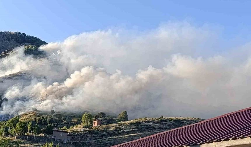 Bingöl’de ağaçlık alanda yangın