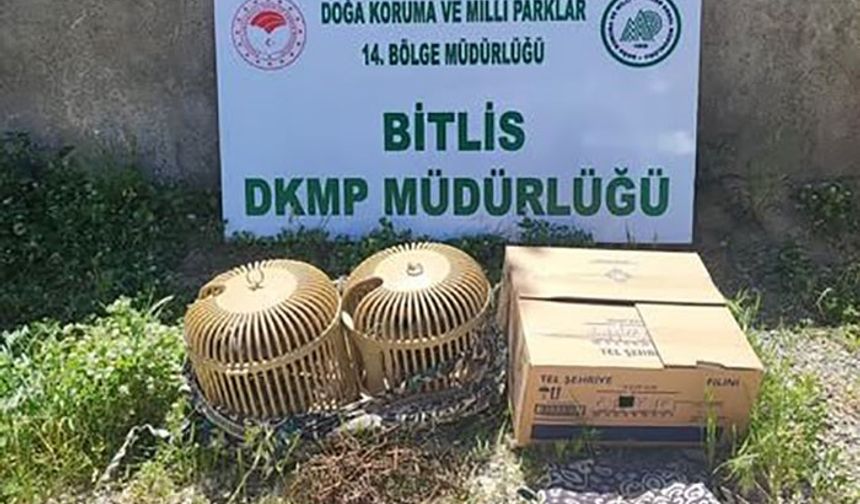 Bitlis’te kaçak keklik aylayan kişiye 63 bin TL idari para cezası uygulanacak