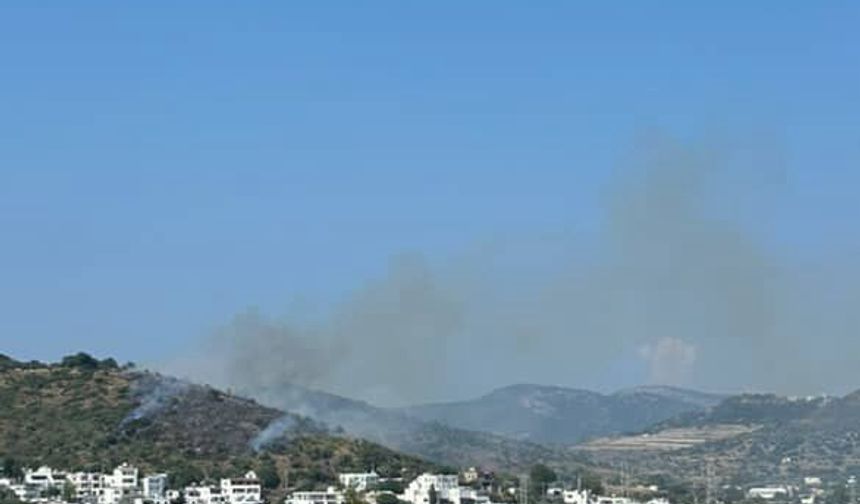 Bodrum’da makilik alanda yangın çıktı