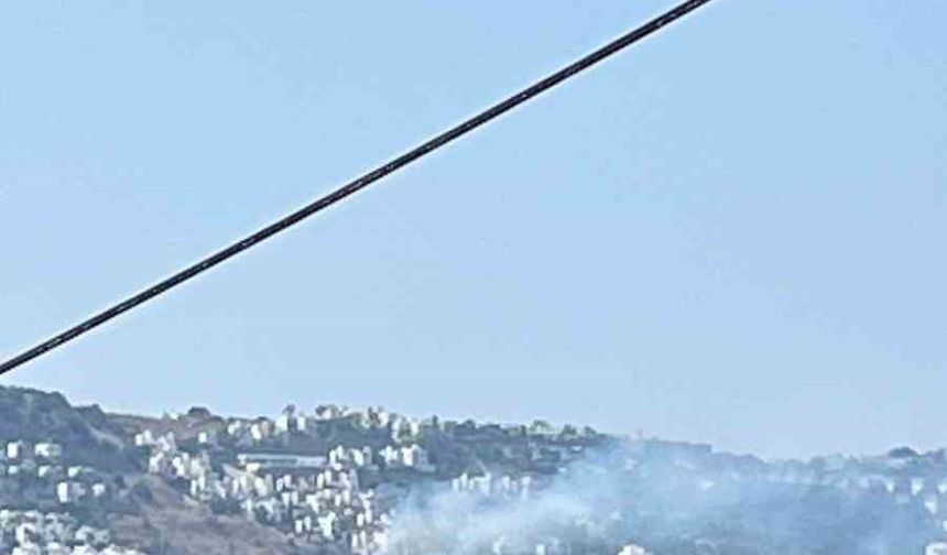Bodrum’daki yangın büyümeden söndürüldü