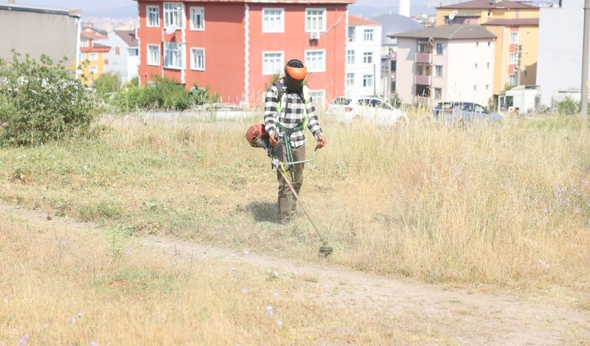 Boş arazilerdeki otlar biçiliyor
