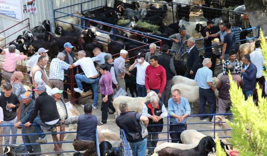 Bozdoğan Belediyesi’nden Kurban Bayramı öncesi satış yeri hizmeti
