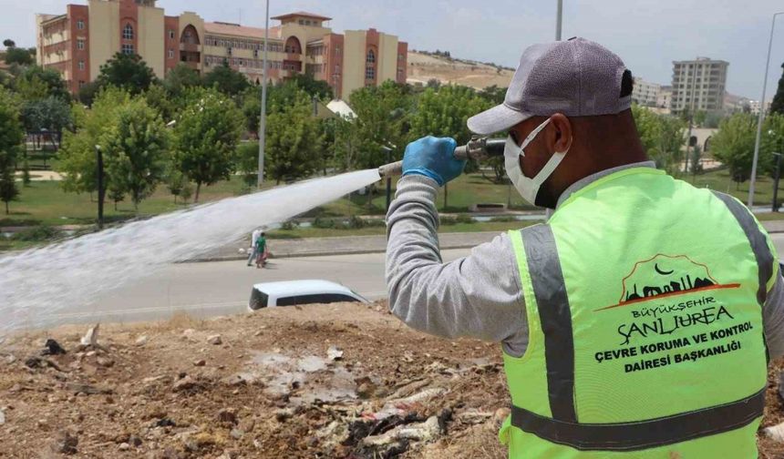 Büyükşehir belediyesinden ilaçlama seferberliği