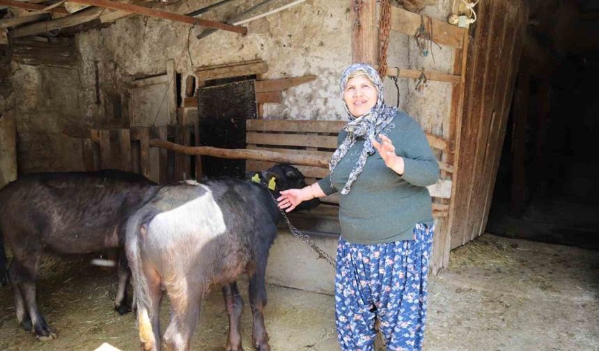 Büyükşehir destekledi üretici kazandı