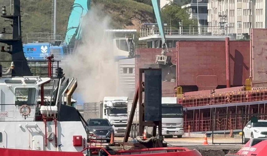 Çelebi Limanı kirlilik saçıyor, Bandırma Körfezi ölüyor