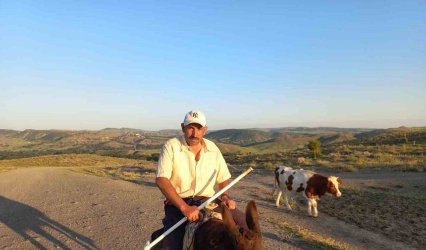 Çobanlık kıymete bindi