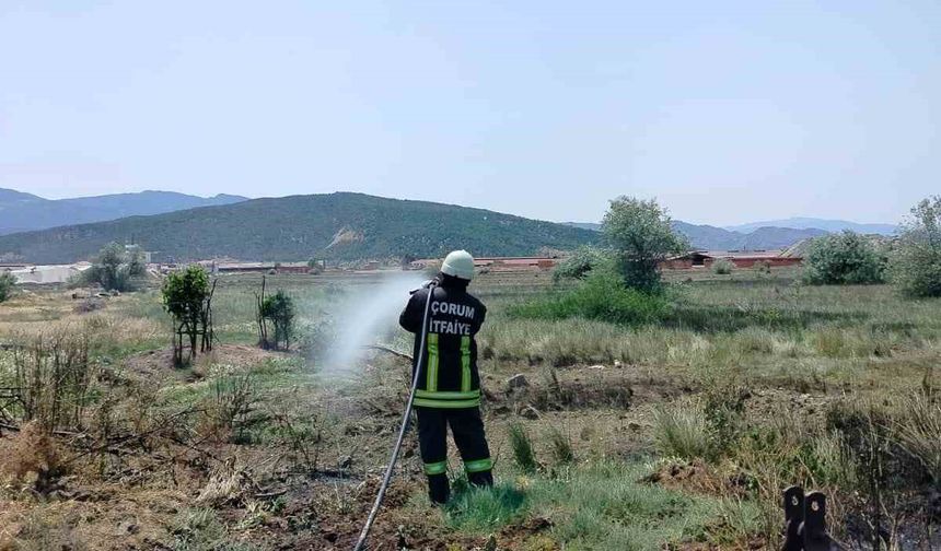 Çorum’da korkutan arazi yangını