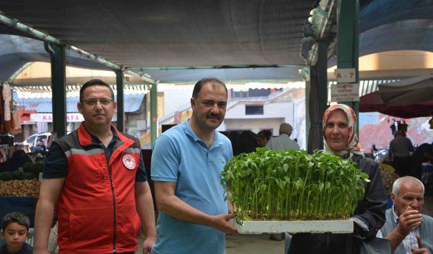 Demircili çiftçilere 40 bin ücretsiz sebze fidesi dağıtıldı
