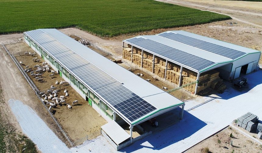 Denizli tarımına 87.4 milyonluk destek
