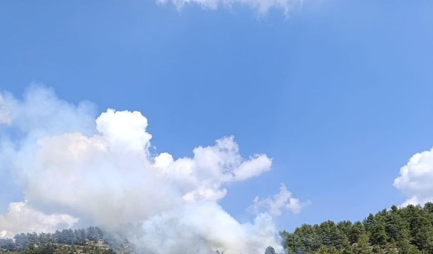 Denizli’de yıldırım düşmesi sonucu 2 ayrı noktada yangın çıktı