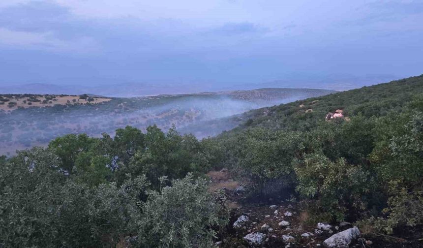 Diyarbakır’da örtü yangını