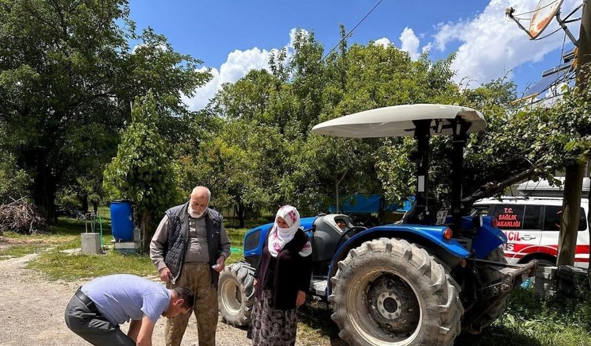 Doğada bulunurken kene popülâsyonuna dikkat!