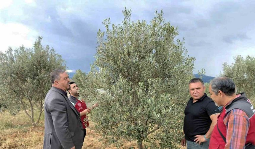 Dolunun vurduğu Esençay’da hasar tespiti yapıldı