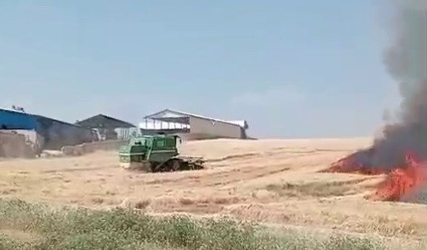Ekili alanlar cayır cayır yandı