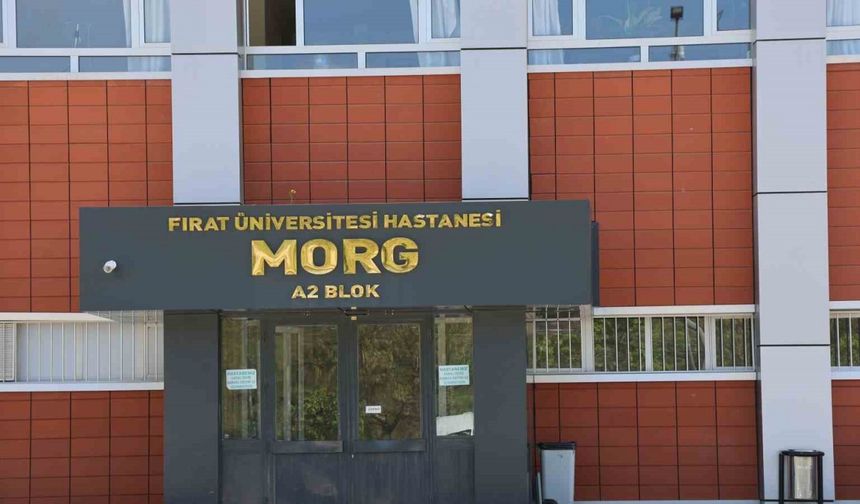Elazığ’da uçurumdan düşen genç hayatını kaybetti