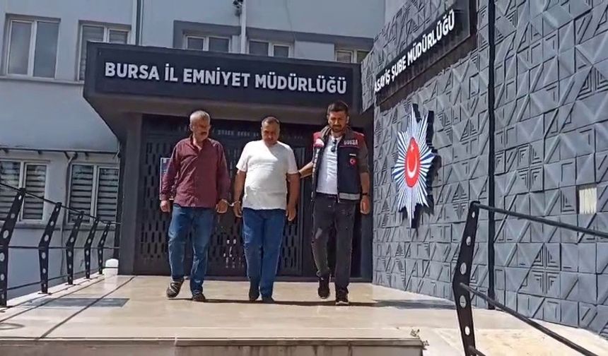 Enginarları bir gecede hasat eden hırsızlar yakalandı