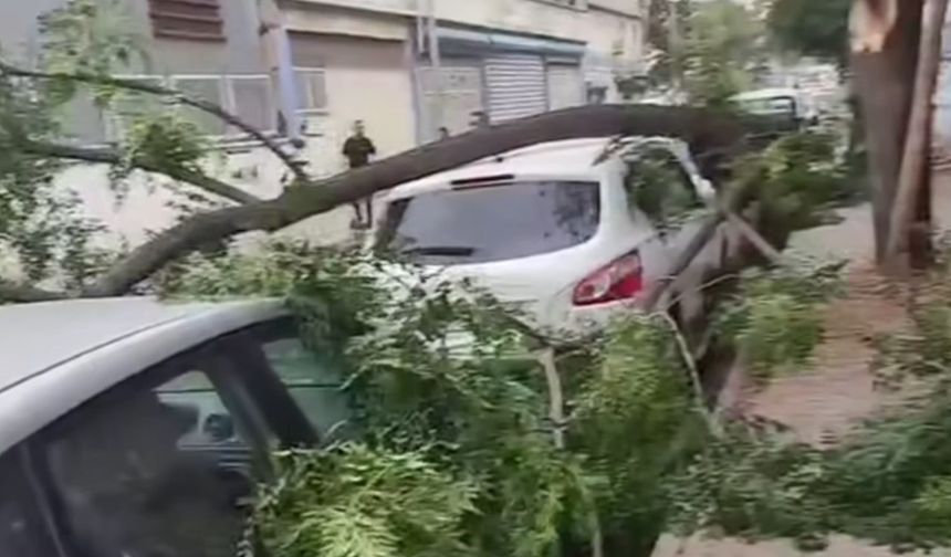 Gaziantep’te şiddetli fırtına: Ağaçlar devrildi, araçlar zarar gördü, toz bulutu etrafı kapladı