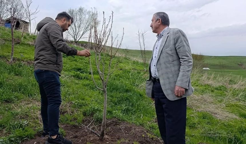 Hamur’da Çiftçilere budama ve aşılama eğitimi verildi