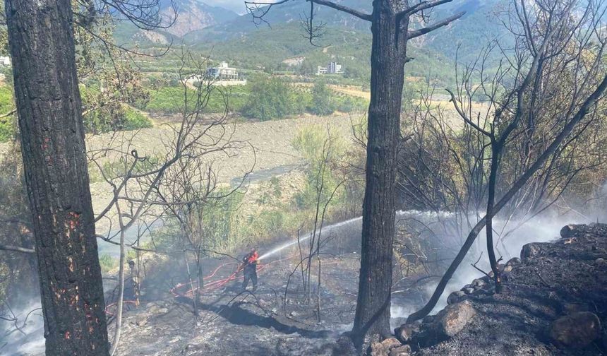 Hatay’daki orman yangını söndürüldü