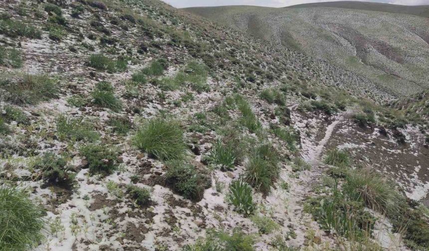 Haziran ayında kar sürprizi: Erek Dağı’nın etekleri beyaza büründü