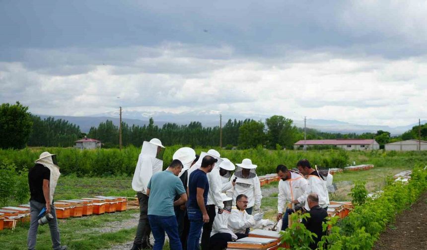 Iğdır’da arı kovanı dağıtım töreni düzenlendi